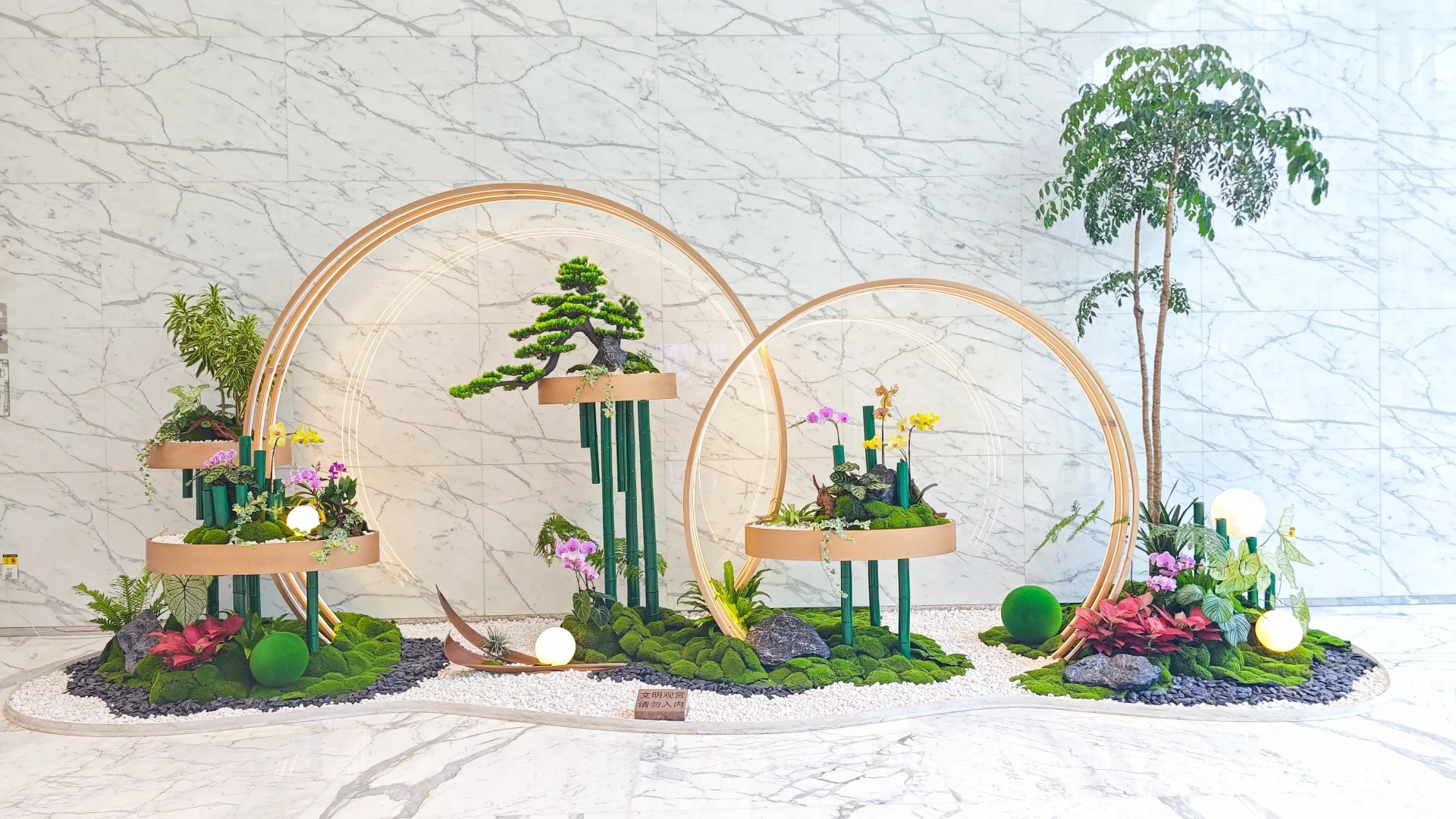 专业盆景出租,奉化团队为你精心打造绿境