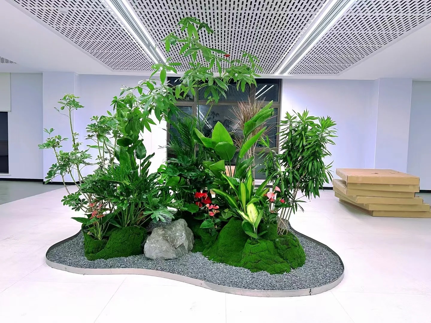 专业盆景出租,奉化团队为你精心打造绿境